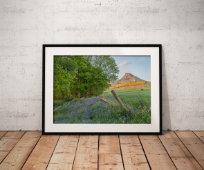 To buy a print or any of the below please click on the images